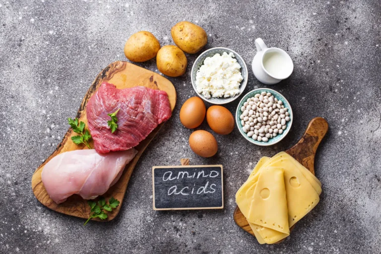 Aminosäuren - Bausteine des Lebens